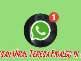 Pesan-Teresa-Fidalgo-WA