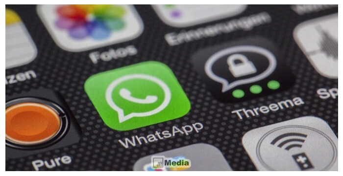 Penyebab Video dari Whatsapp Tidak Ada di Galeri