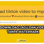 TTDown.Org MP3, Solusi Download Lagu dan Video TikTok Tanpa Watermark