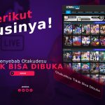 Penyebab Otakudesu Tidak Bisa Dibuka