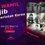 Apa Arti Wamil di BTS?