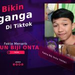 Fakta Menarik Akun Biji Onta TikTok! Bikin Menganga