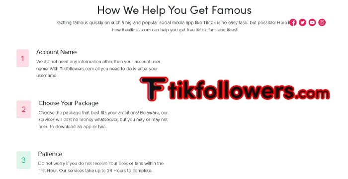 Cara menggunakan TikTok Followers Com
