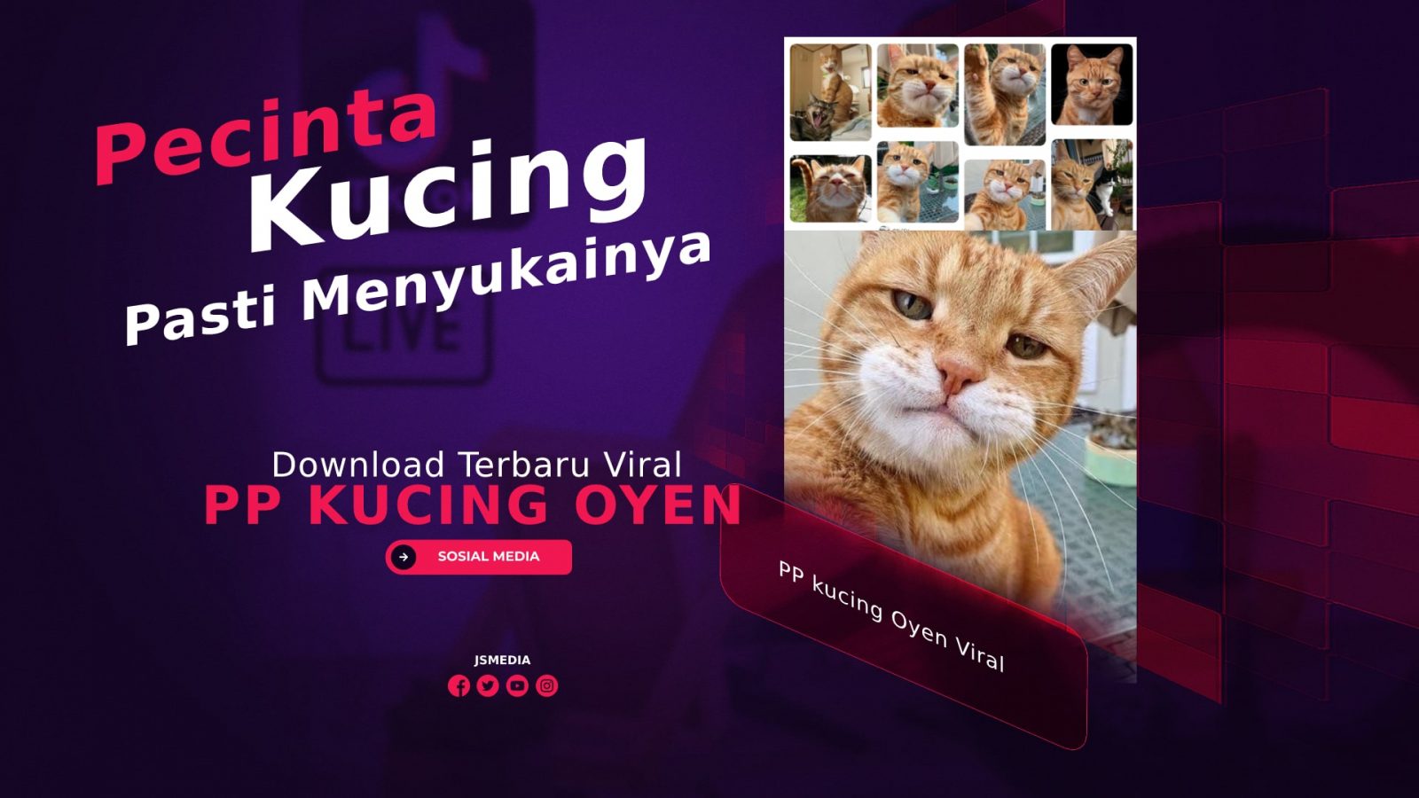 Download PP kucing Oyen Viral, Pecinta Kucing Pasti Suka