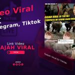 Exclusive! Gajah Viral Di TikTok, Ini Dia Videonya