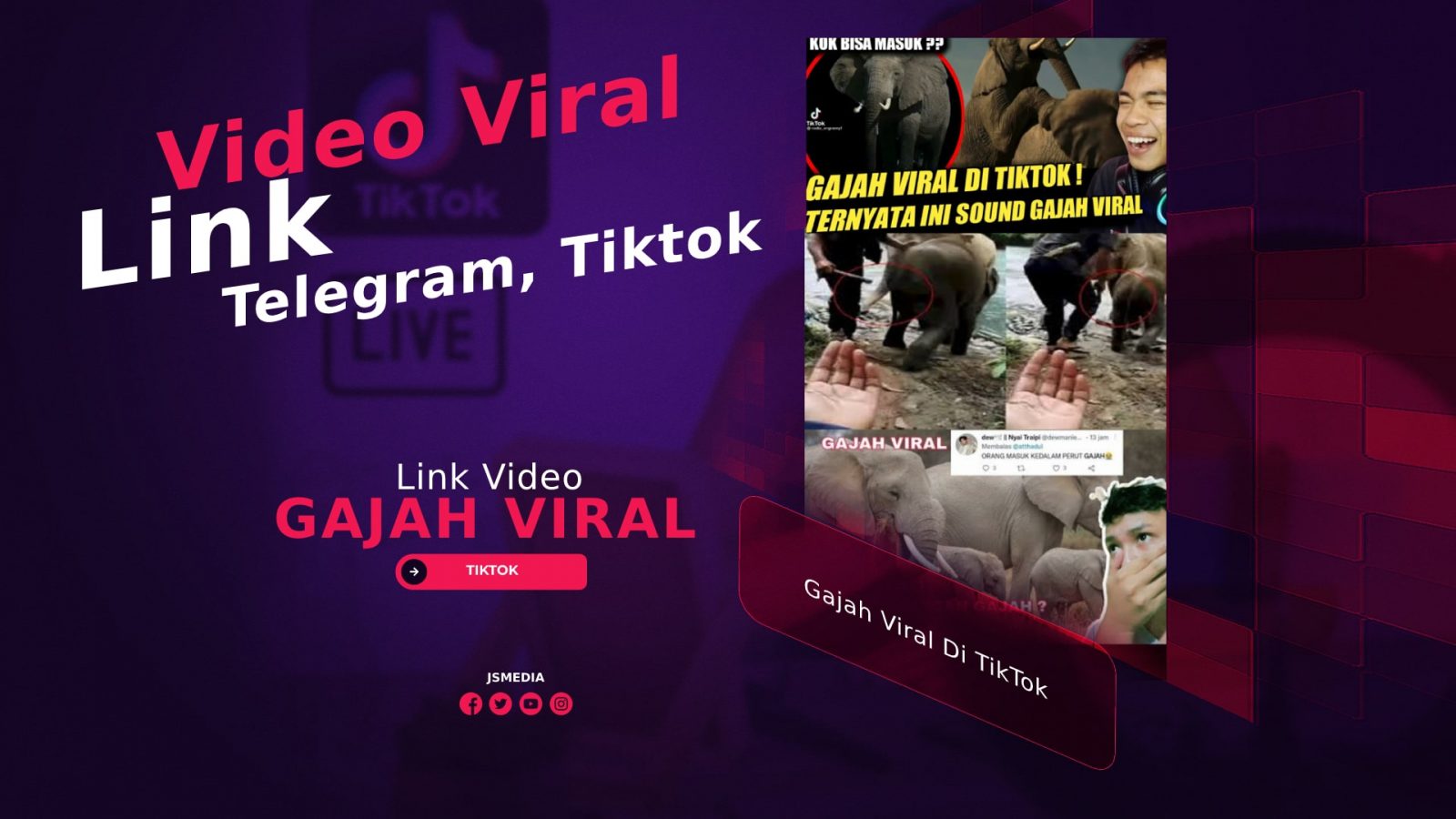 Exclusive! Gajah Viral Di TikTok, Ini Dia Videonya