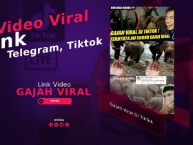 Exclusive! Gajah Viral Di TikTok, Ini Dia Videonya