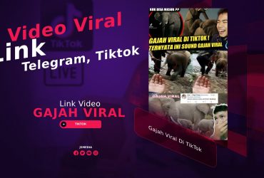 Exclusive! Gajah Viral Di TikTok, Ini Dia Videonya