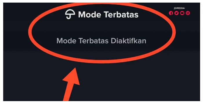 Mengenal TikTok dengan Fitur Mode Terbatas