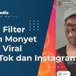 Nama Filter Wajah Monyet Gorila Viral