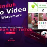 Cara Unduh Video TikTok Menggunakan Save from net TikTok