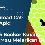 Download Cat Trap Apk