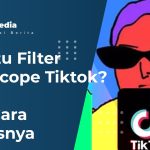 Filter Rotoscope Tiktok