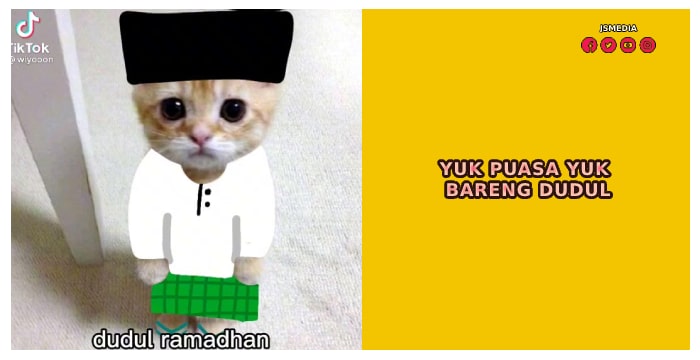 Link Download Template Dudul Kucing Tiktok Terlengkap