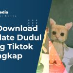 Link Download Template Dudul Kucing Tiktok Terlengkap
