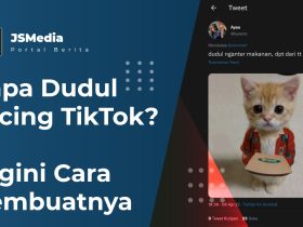 Siapa Dudul Kucing TikTok