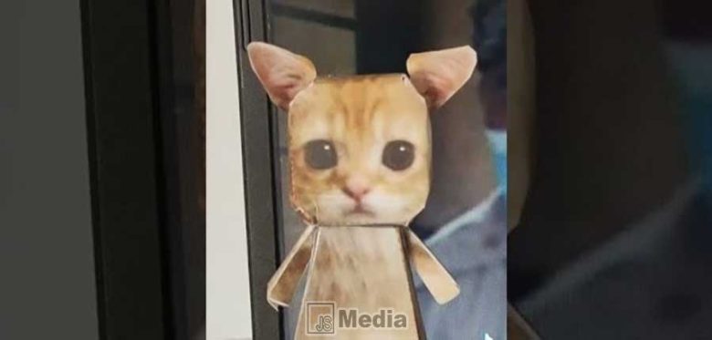 Siapa Dudul Kucing TikTok? Begini Cara Membuatnya