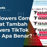 Tikfollowers Com