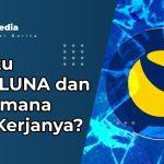 Apa Itu Terra LUNA