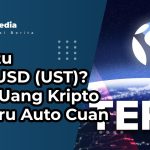 Apa Itu TerraUSD