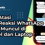 Cara Atasi Fitur Reaksi WhatsApp Tidak Muncul