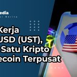 Cara Kerja TerraUSD