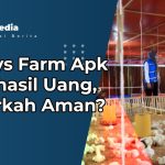 Venkys Farm Apk Penghasil Uang