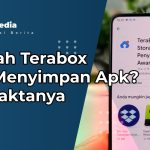 Apakah Terabox Bisa Menyimpan Apk