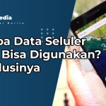 Kenapa Data Seluler Tidak Bisa Digunakan