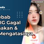 Penyebab Filter IG Gagal Digunakan & Cara Mengatasinya