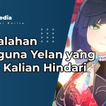 Kesalahan Pengguna Yelan