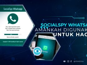 SocialSpy WhatsApp 2022