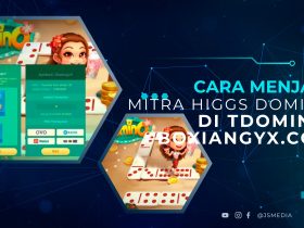 Cara Menjadi Mitra Higgs Domino di Tdomino.boxiangyx.com