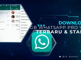 Download GB WhatsApp Pro V 17
