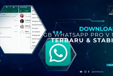 Download GB WhatsApp Pro V 17
