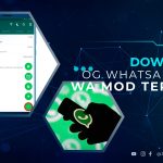 Download OG WhatsApp Pro