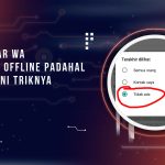 Cara Agar WA Terlihat Offline Padahal Online, Ini Triknya