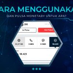 Pulsa Monetary Untuk Apa