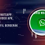 Provid Whatsapp Profile Video Apk