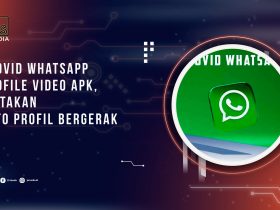 Provid Whatsapp Profile Video Apk