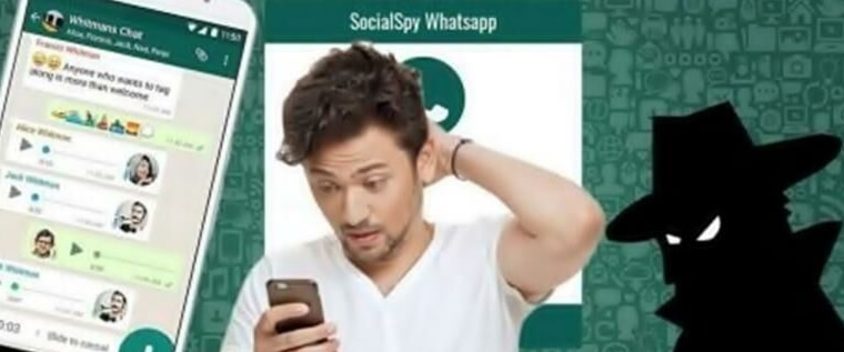 Fitur dalam SocialSpy