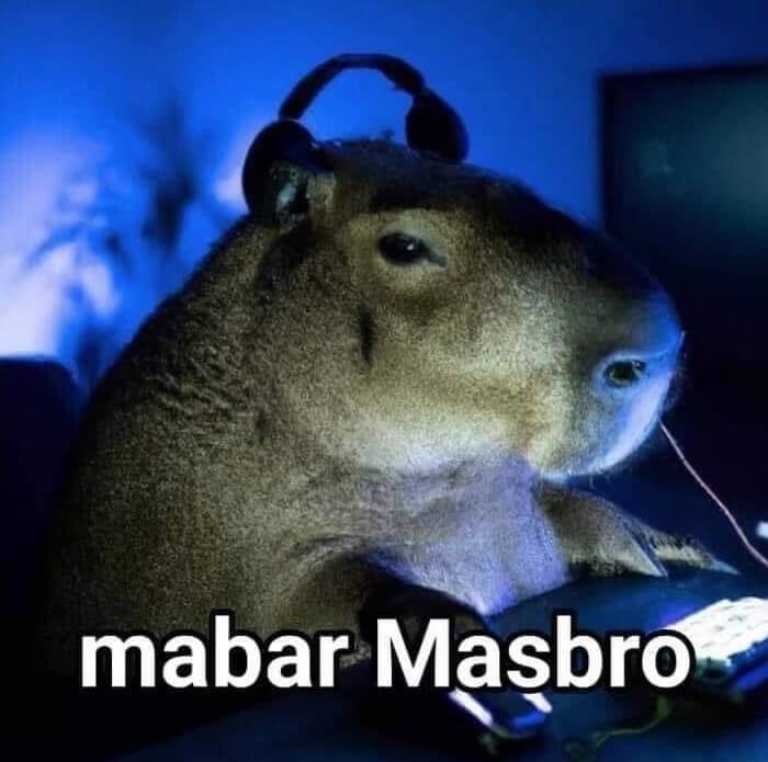Kapibara Mabar Masbro