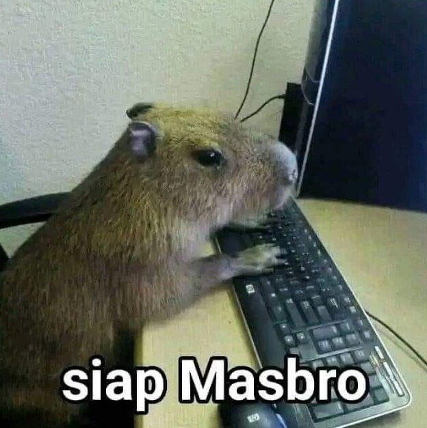 Kapibara Siap Masbro Sambil Ngetik Keyboard
