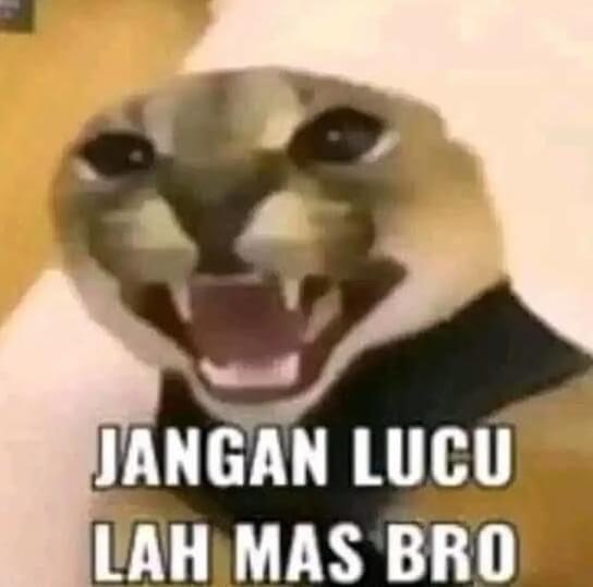 Kapibara Jangan Lucu Lah Mas Bro