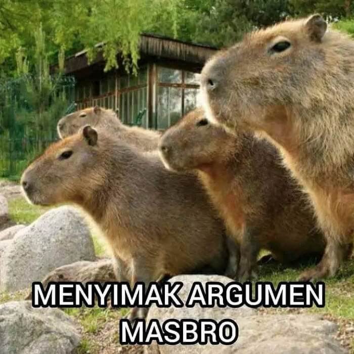 Kapibara Menyimak Argumen Masbro