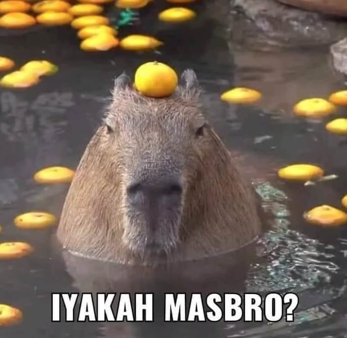 Kapibara Iyakah Masbro