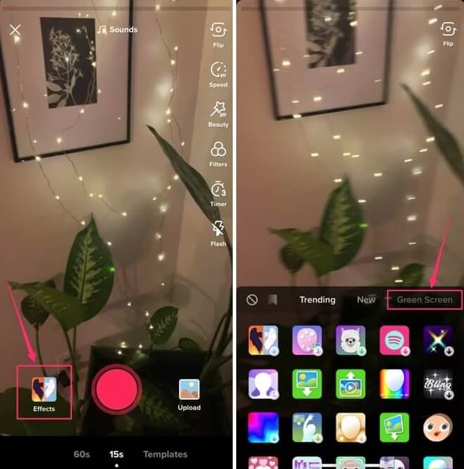 Peringatan Penting Sebelum Menggunakan Green TikTok