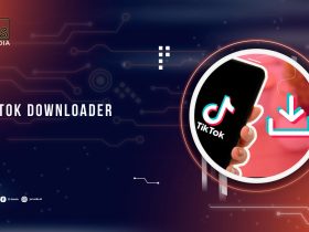 tiktok downloader