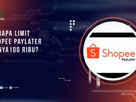 kenapa-limit-shopee-paylater-hanya-100-ribu