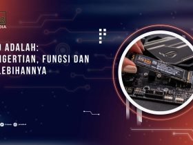 SSD Adalah